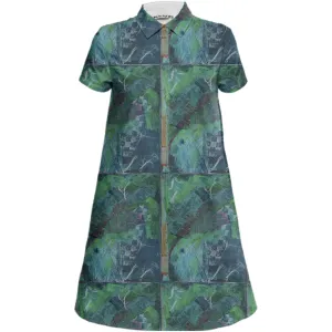 6380 Color Study Shirt Dress
