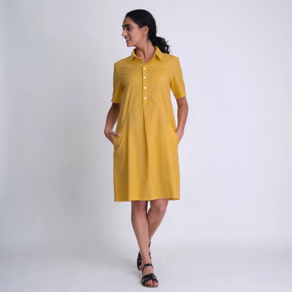 Alexa Shirt Dress