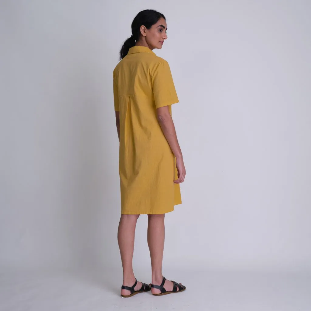 Alexa Shirt Dress