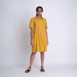 Alexa Shirt Dress