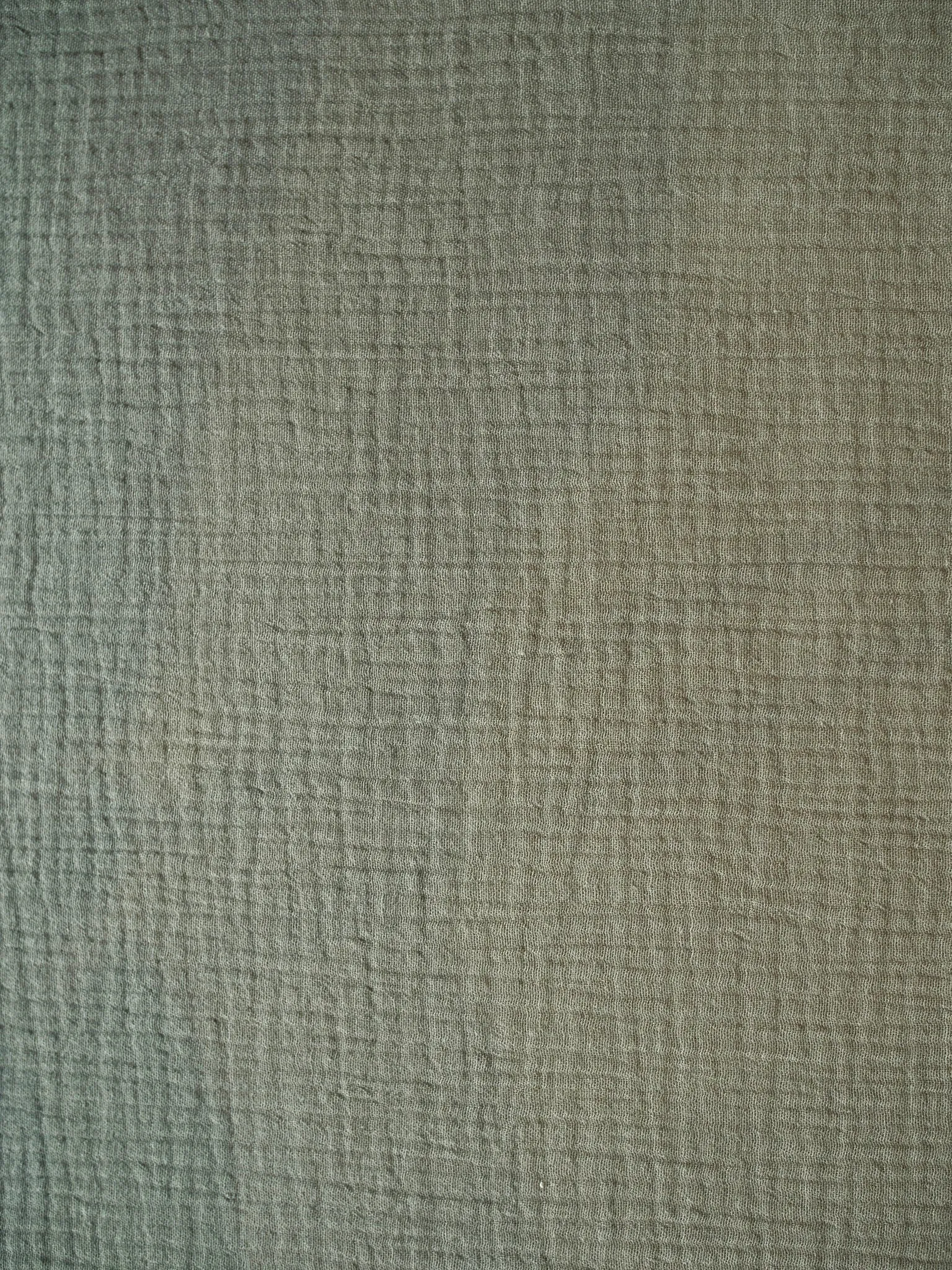Cotton Double Guaze - Moss