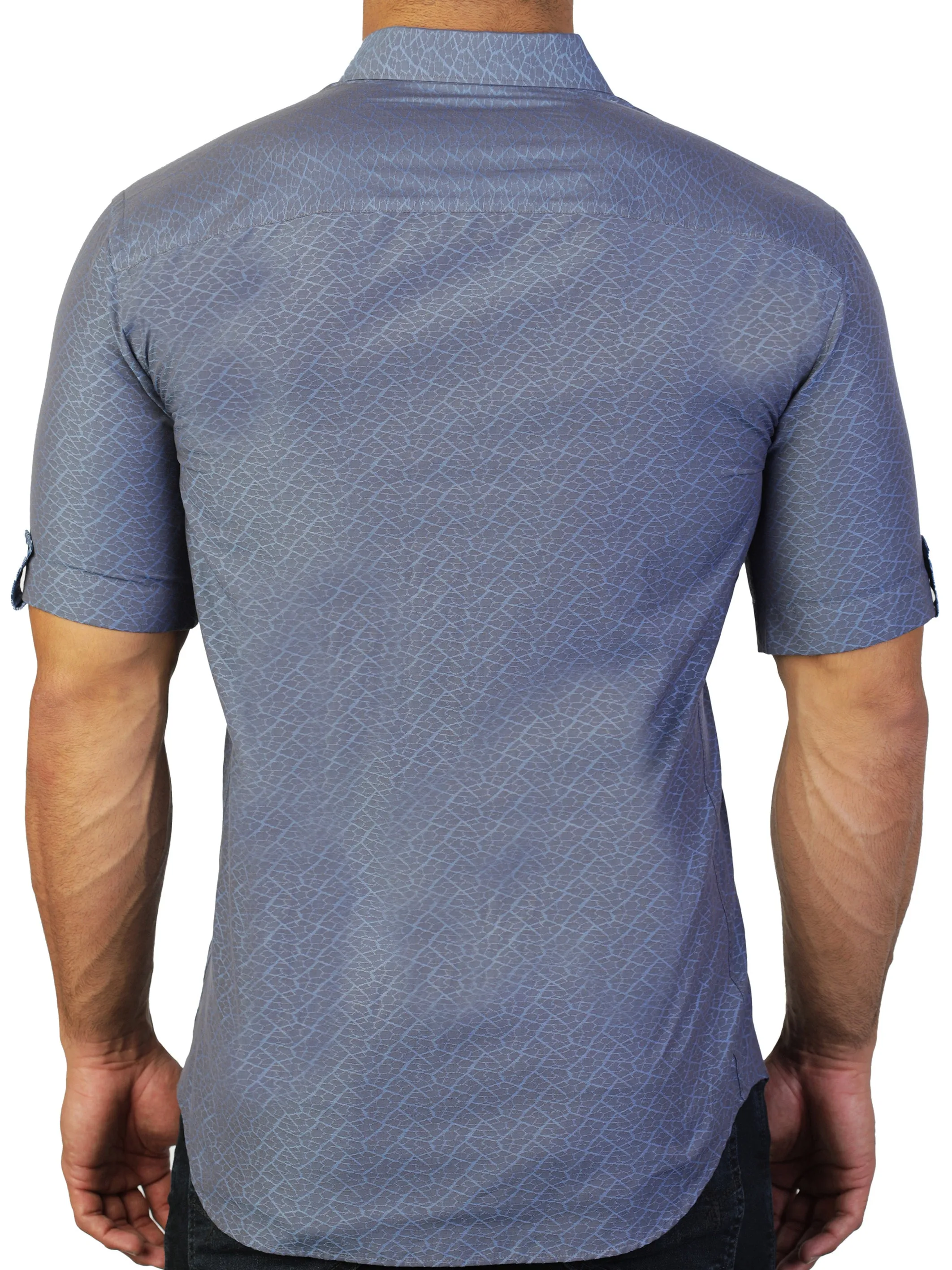 Galileo Synapse Grey