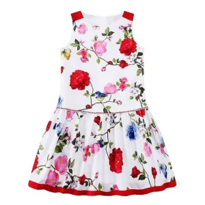 Girls Floral Summer Dress, Size 2-6 Yrs