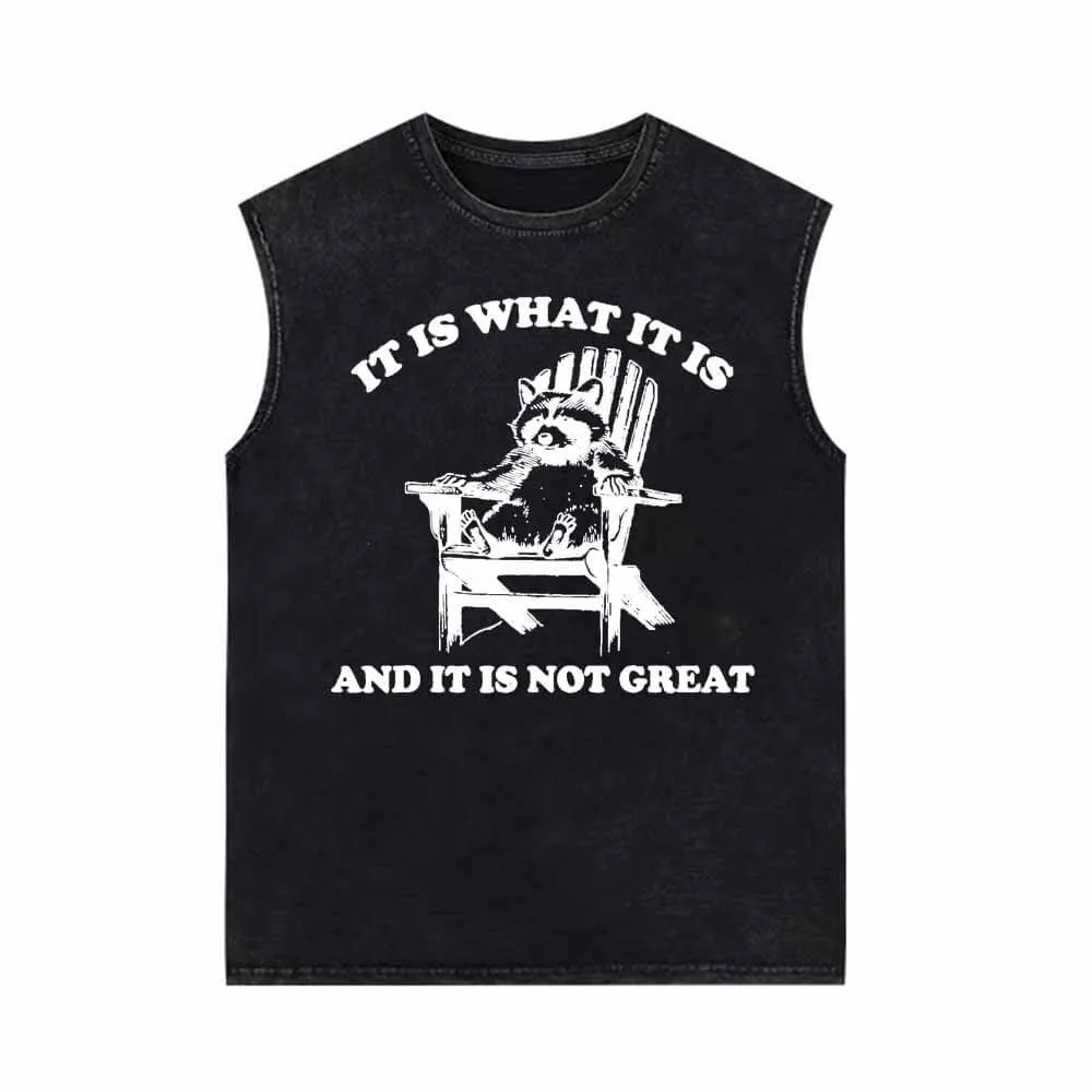 It Is What It Is Raccoon Print Vintage Washed Vest Top