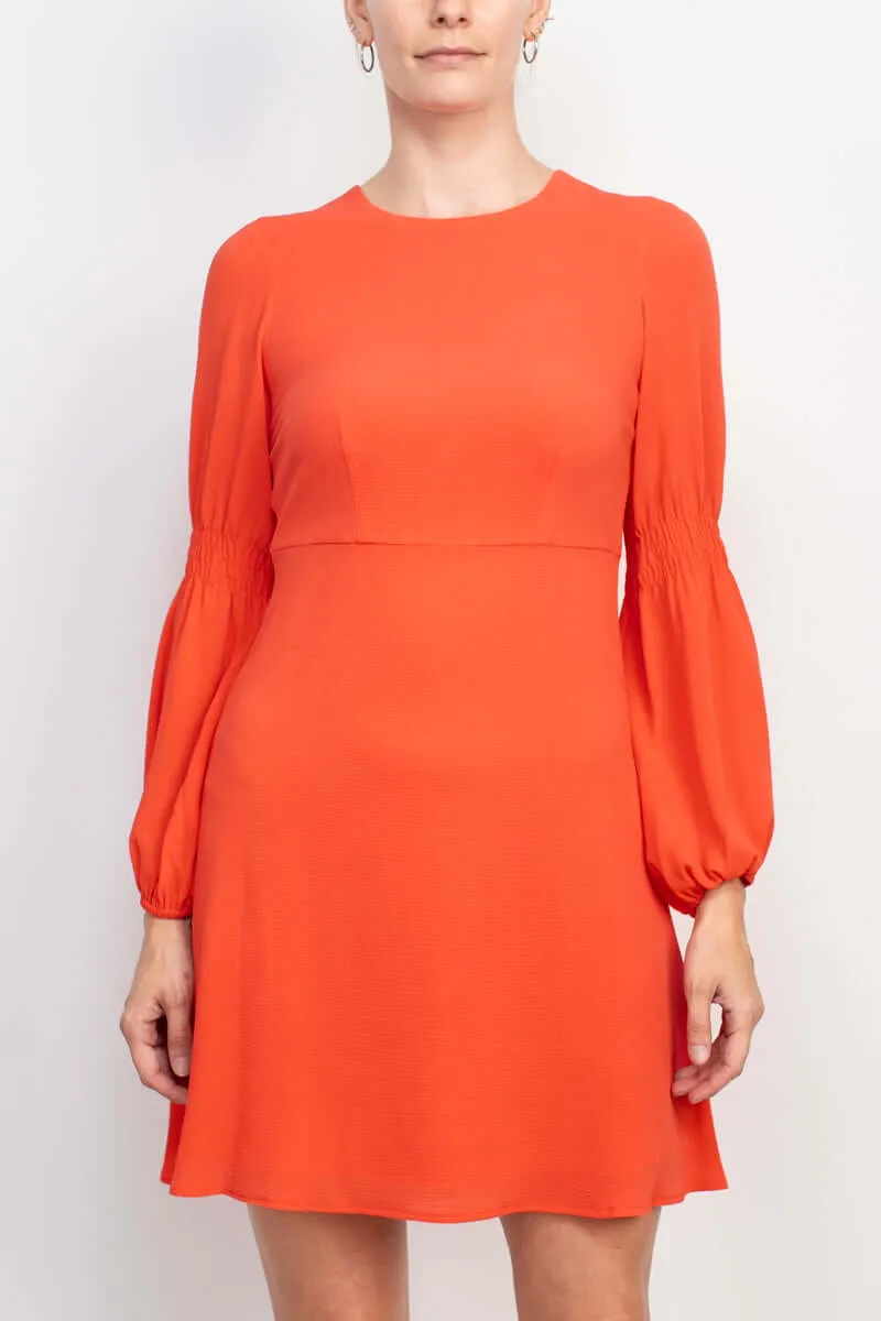 London Times Crew Neck Elastic Cuff A-Line Zipper Back Solid Dress (Petite)