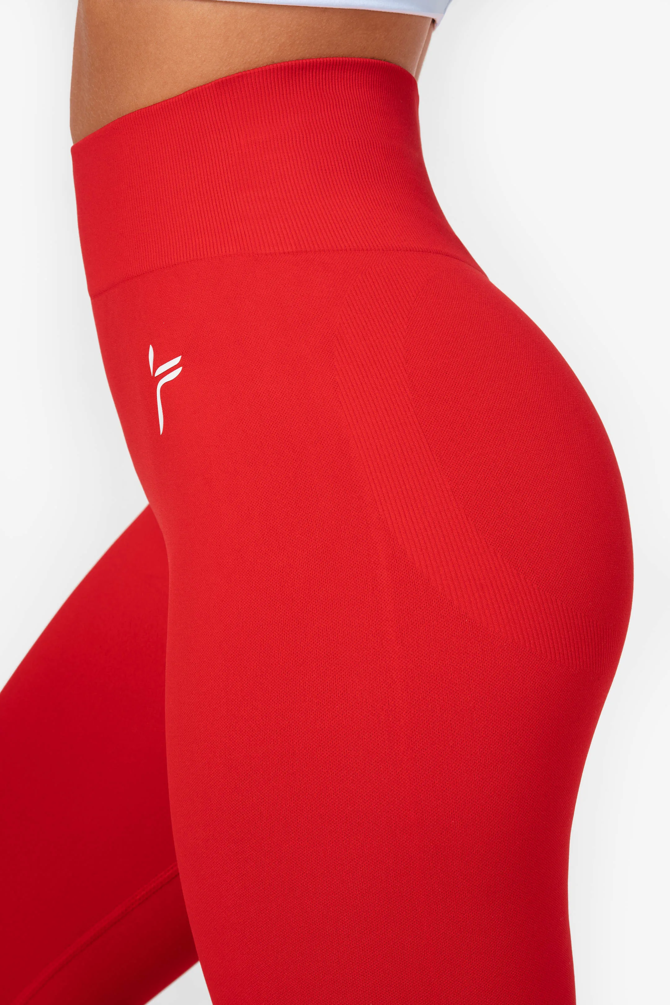 Lunge Scrunch Leggings