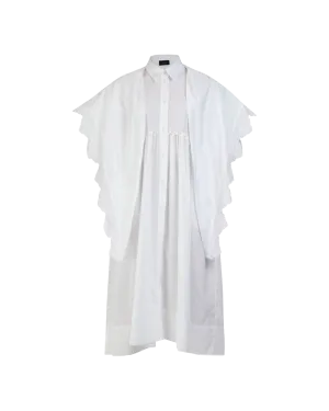 Pointed Collar Shirt Dress With Trim