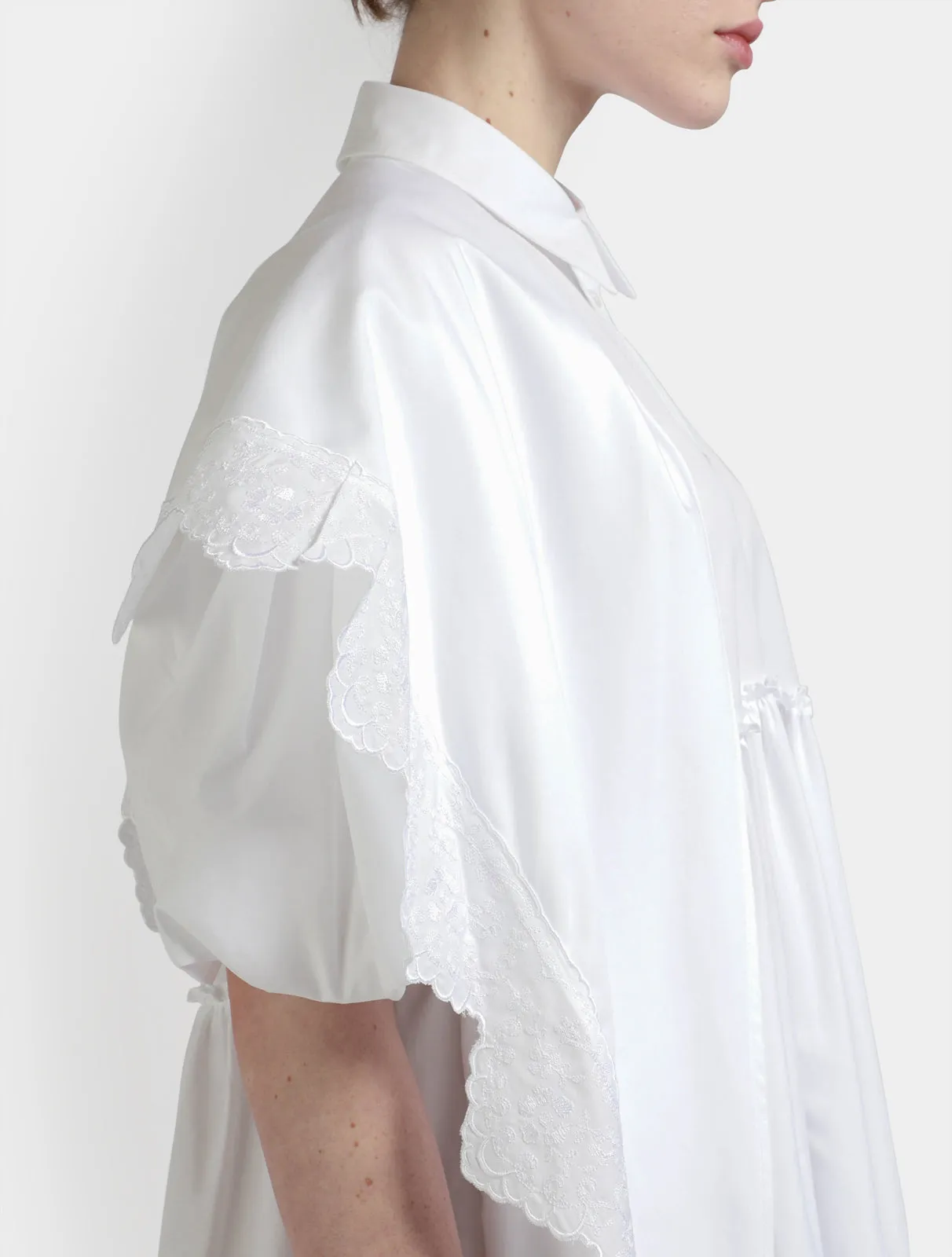 Pointed Collar Shirt Dress With Trim