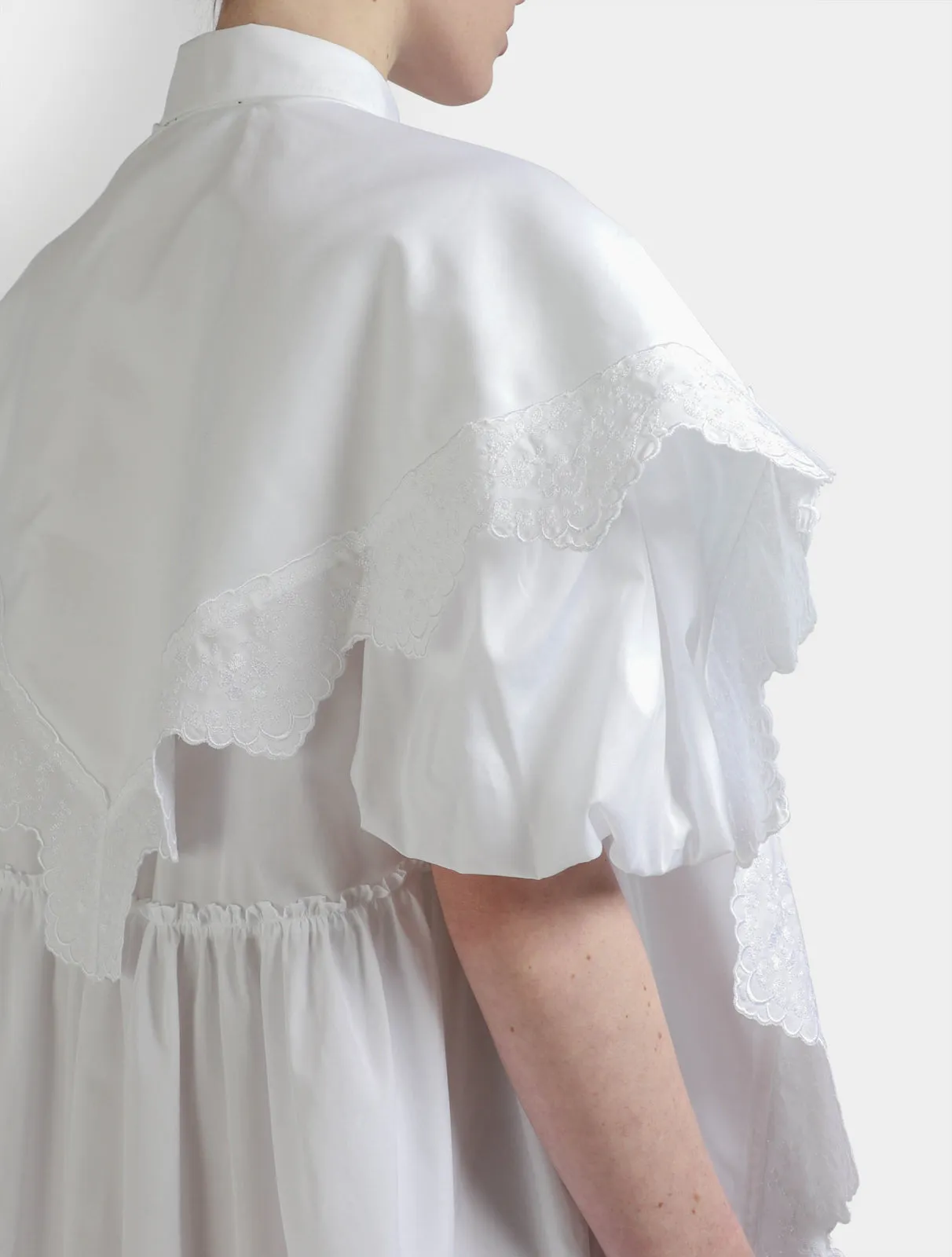 Pointed Collar Shirt Dress With Trim