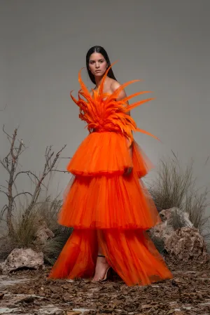 Strapless A-line tulle and Feathered Dress