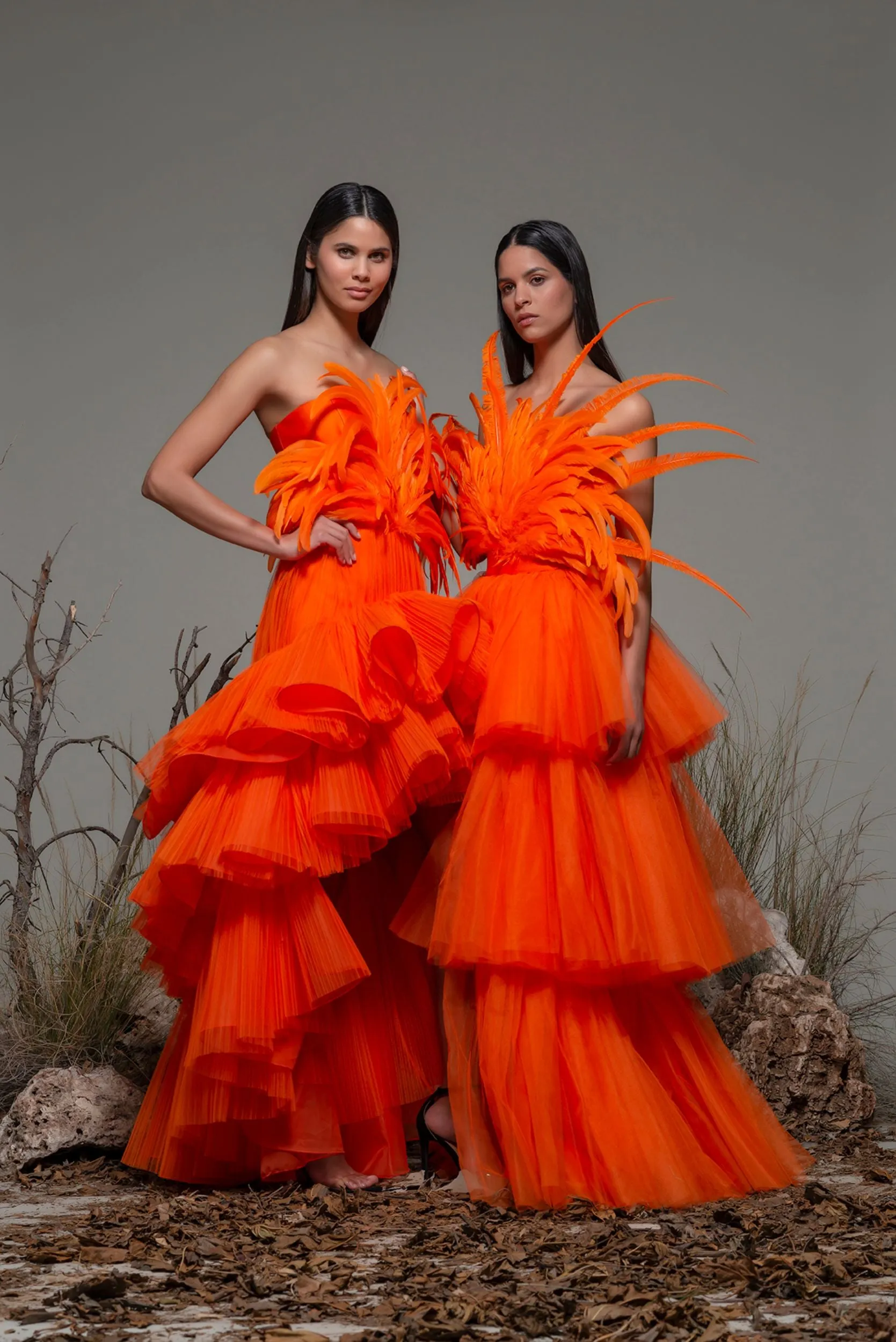 Strapless A-line tulle and Feathered Dress