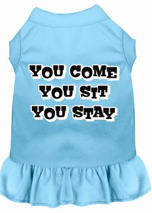 You Come, You Sit, You Stay Screen Print Dress Baby Blue Med (12)