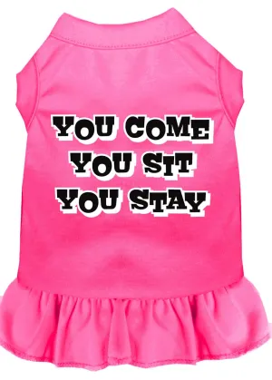 You Come, You Sit, You Stay Screen Print Dress Bright Pink 4x (22)